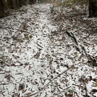 雪が積もってきたので、下山が怖い😨