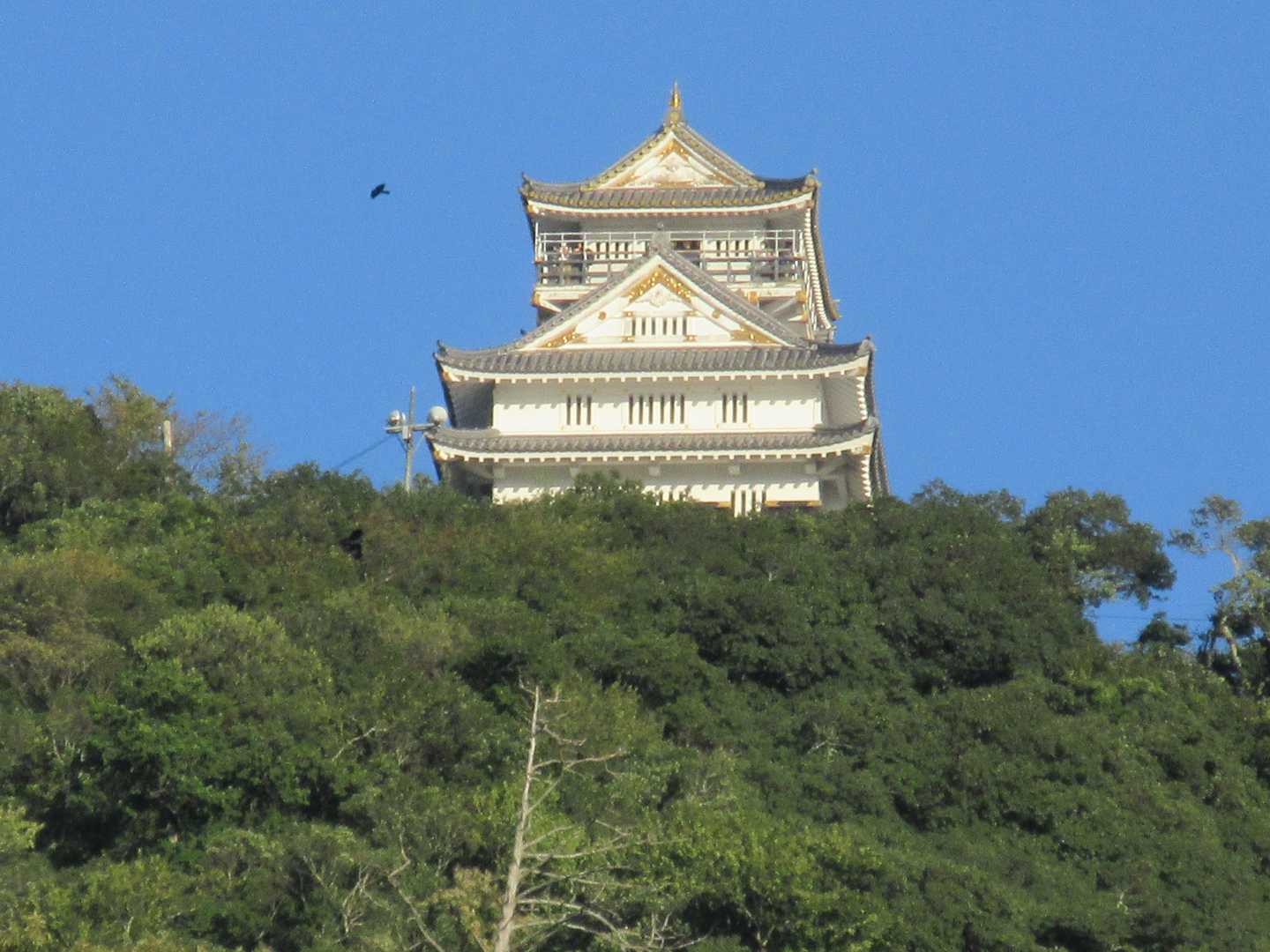 これから行くよ〜