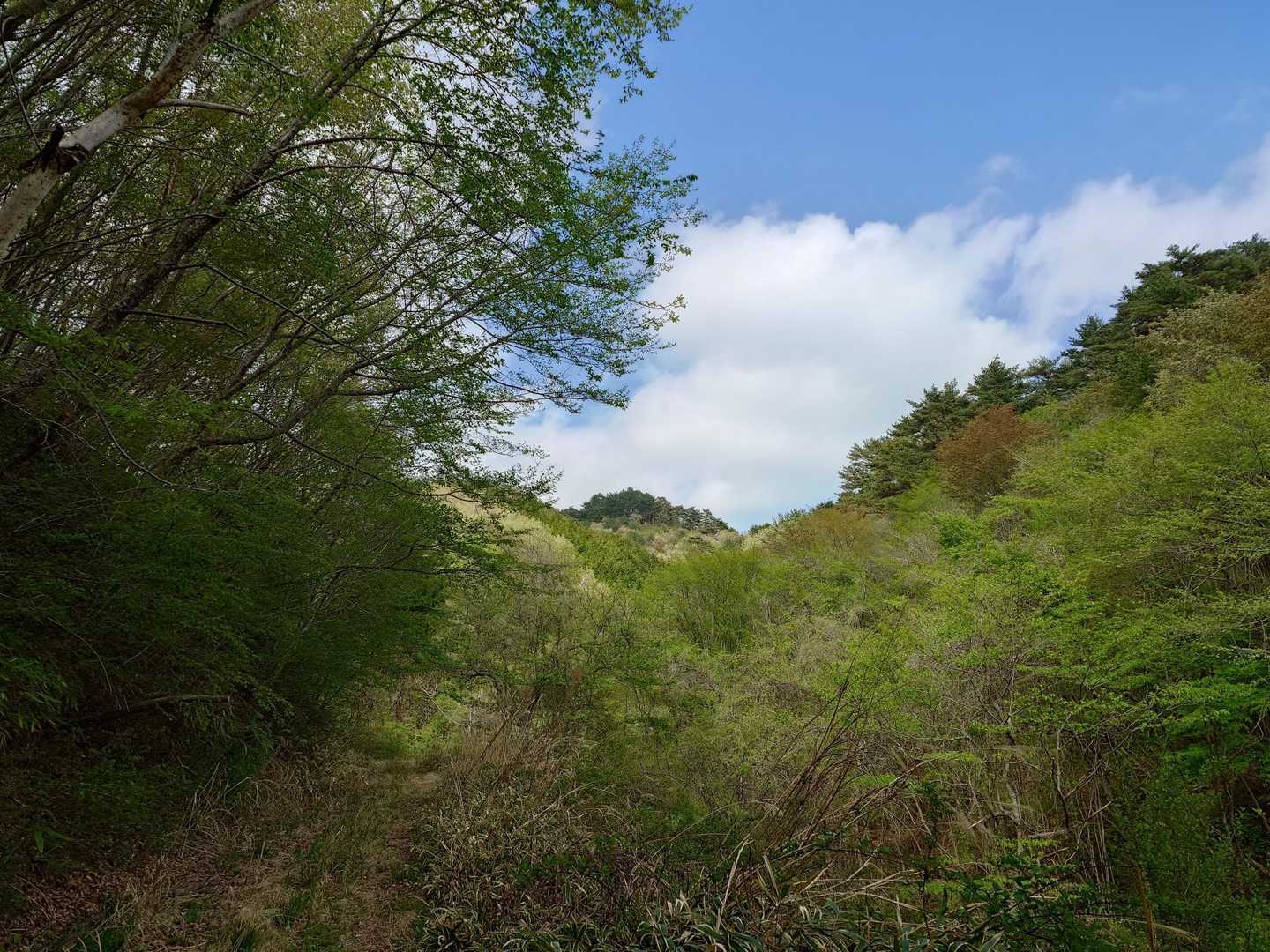 多分、ガロ山