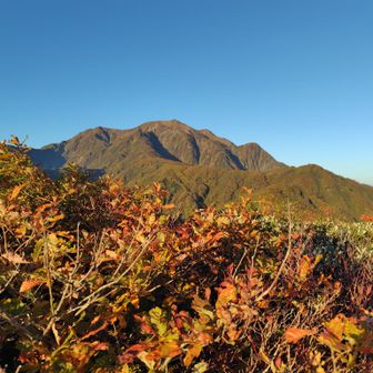 道行山から見える越後駒ヶ岳、圧巻👍️