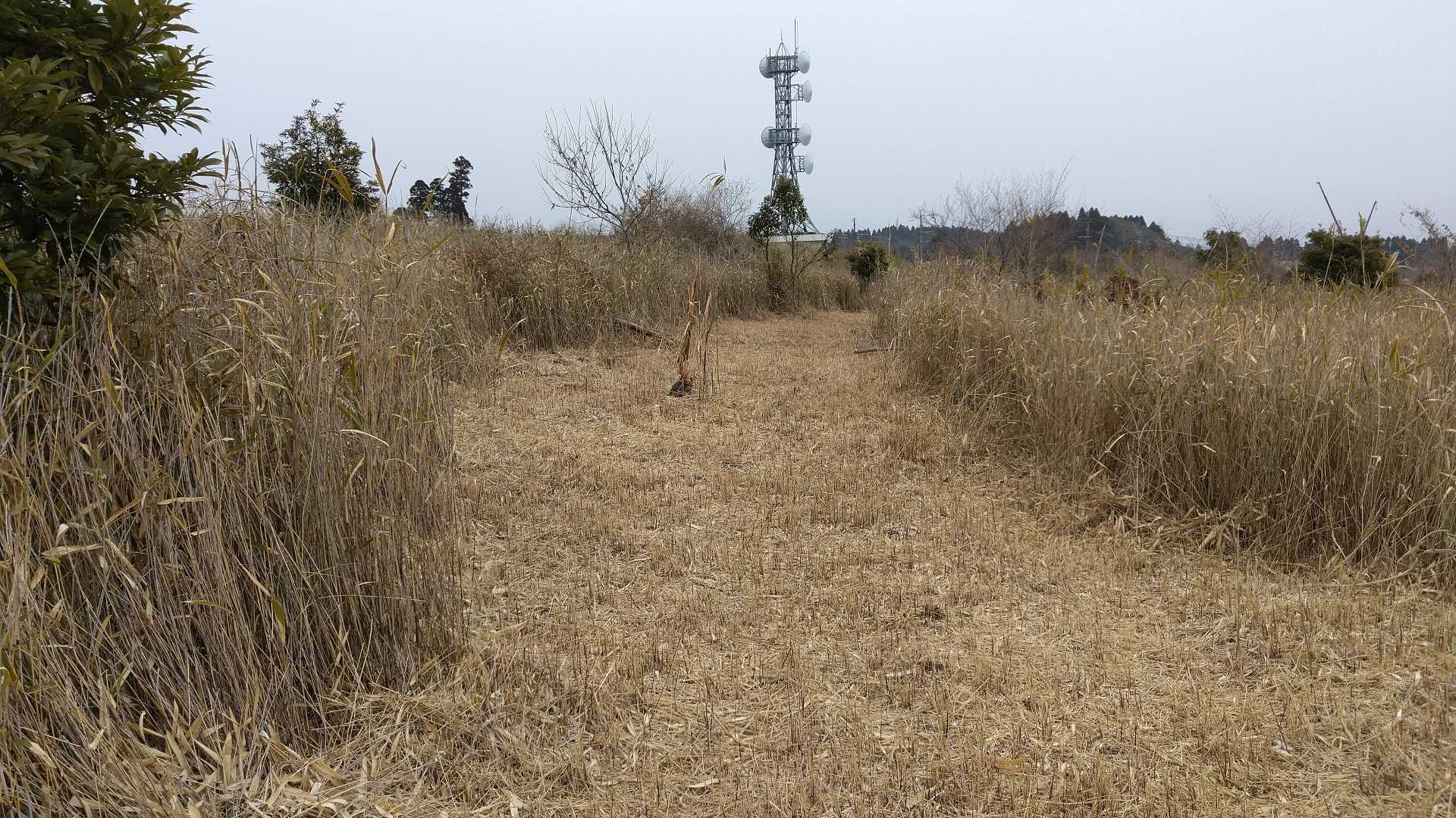 荒崎山の写真