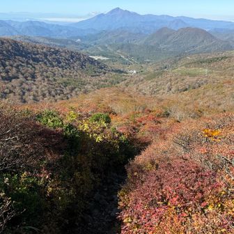 磐梯山。
写真中央の箕輪スキー場駐車場あたりがゴール。遠いな。
