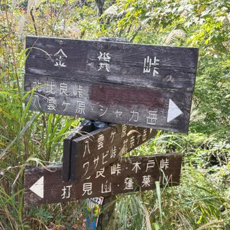 金糞て、、きんぷんと思ってたら
かなぐそ  らしい🤣

調べていたら、ようするに
金糞峠はこの峠に「かなぐそ(金属を精錬するときに出る残滓)」様の石が堆積していたことからついたと言われています