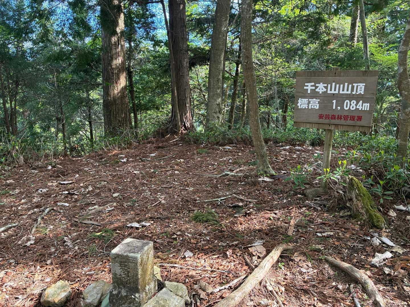 千本山到着！
900本くらいまでは数えられたんですがね（ウソ🤣）