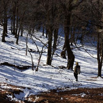 はいまた降って登ります！
稜線はアップダウン必須↗️↘️