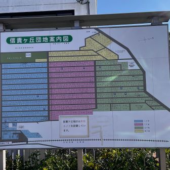 住宅が整理されている！