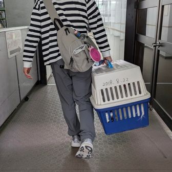 クレートはレンタル