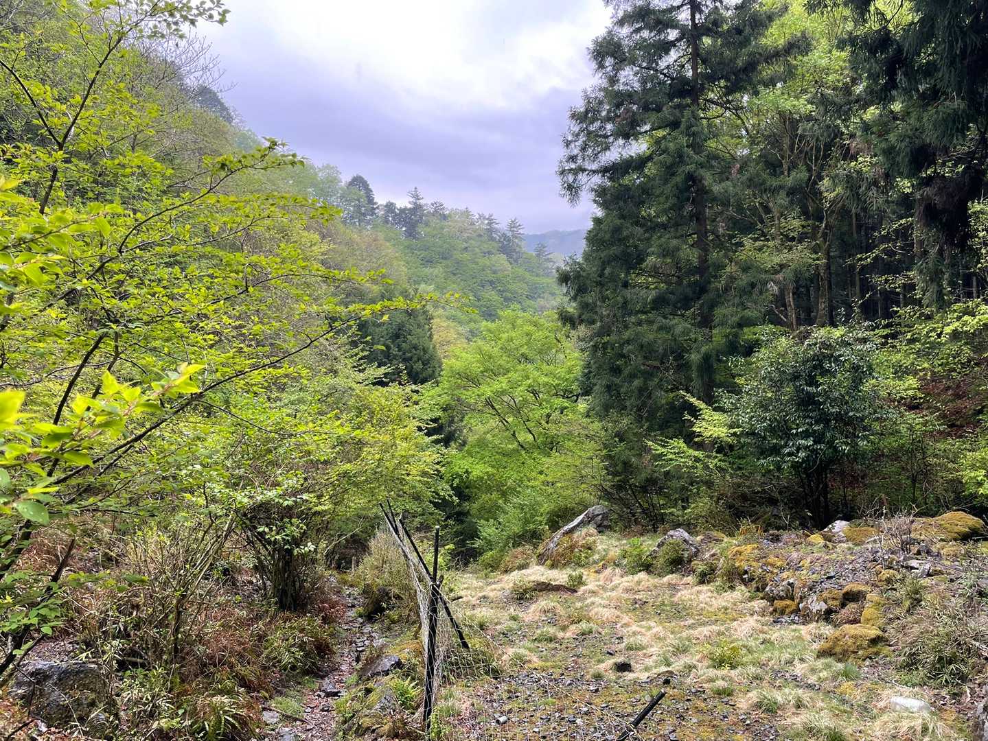 清東橋バス停-棒ノ嶺-権次入峠-白谷沢登山口-龍泉寺登山口 縦走コースの写真