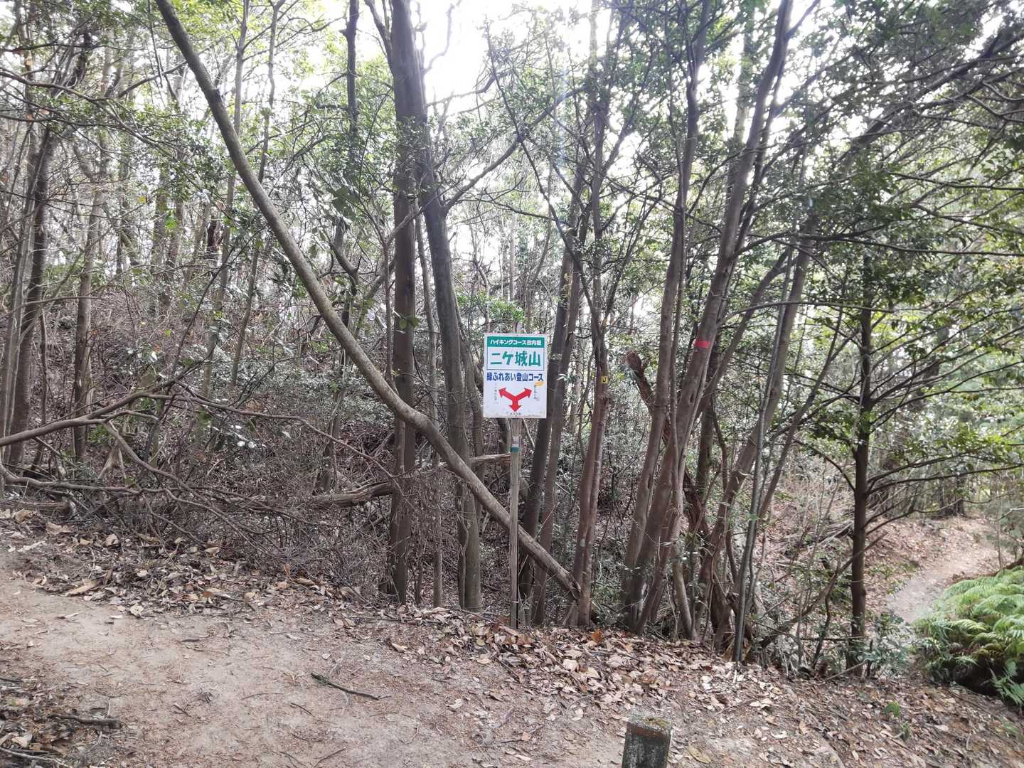 左へ
