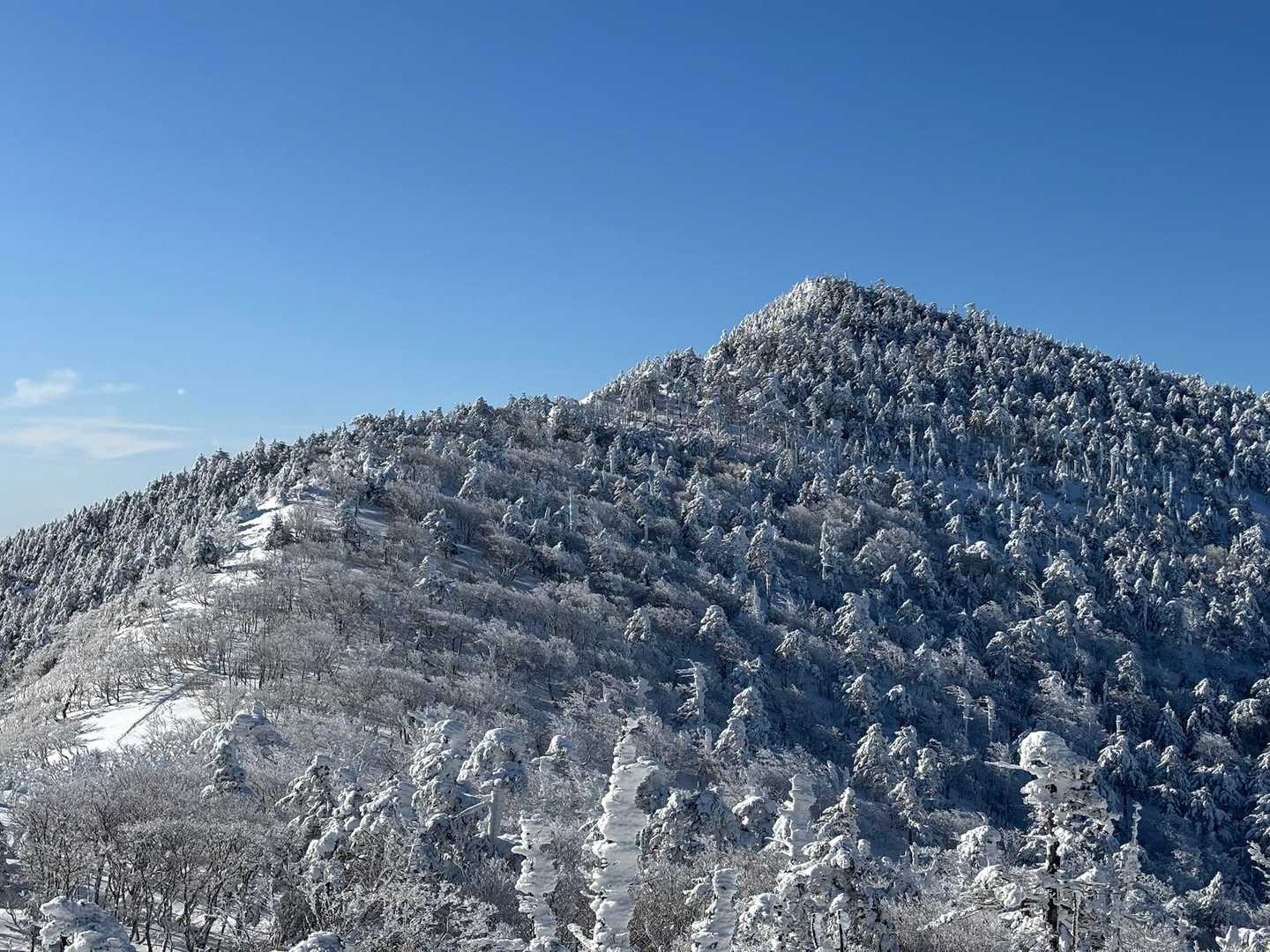 振り返って八経ヶ岳🏔️