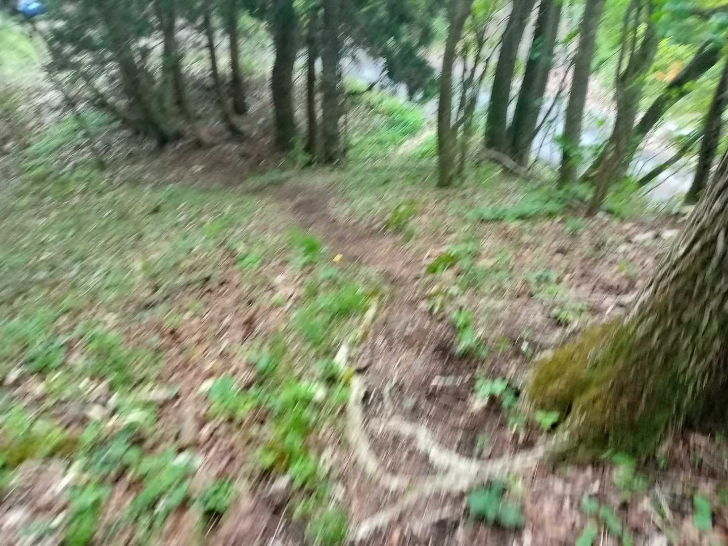 素晴らしい登山道のみの山行でした🐾感謝感激雨霰🙏おつかれ山でした🐍🐴