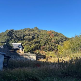 降りてみたら綺麗でした😍