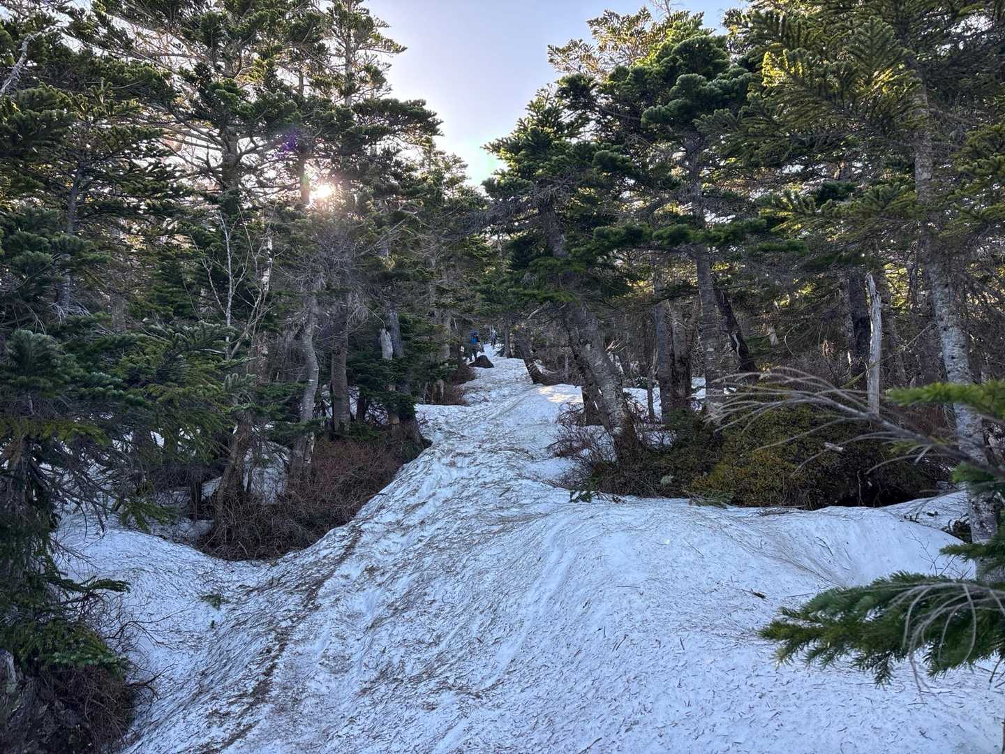 雪が出て来ました

チェーンスパイク装着　朝方はしまっていて歩きやすい