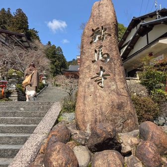 鞍馬に向かう下りで、登ってくる私よりお歳の団体さんに会う。今日、はじめて山で人に会って、ホッとした。今まで、ひとり山姥で怖かった😂