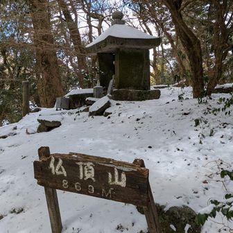 帰りにまたプチ遭難😱
変なところを歩いて登山道からだいぶ外れてた😵