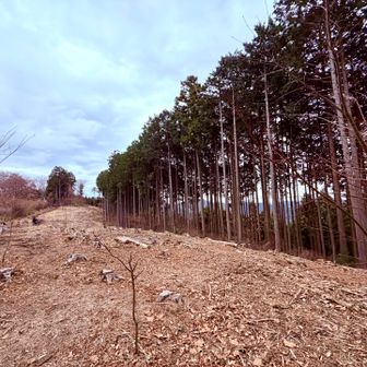 寒々しい景色〜、実際寒いです。