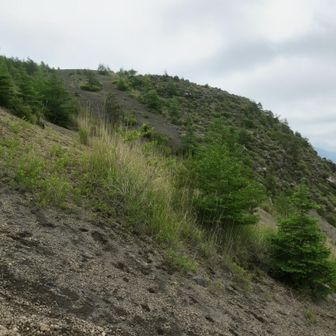 登り途中で右手に東峰が見えてきた
先ずは左手の西峰に登る