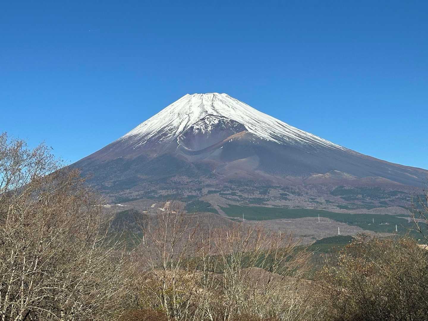 本日の🗻