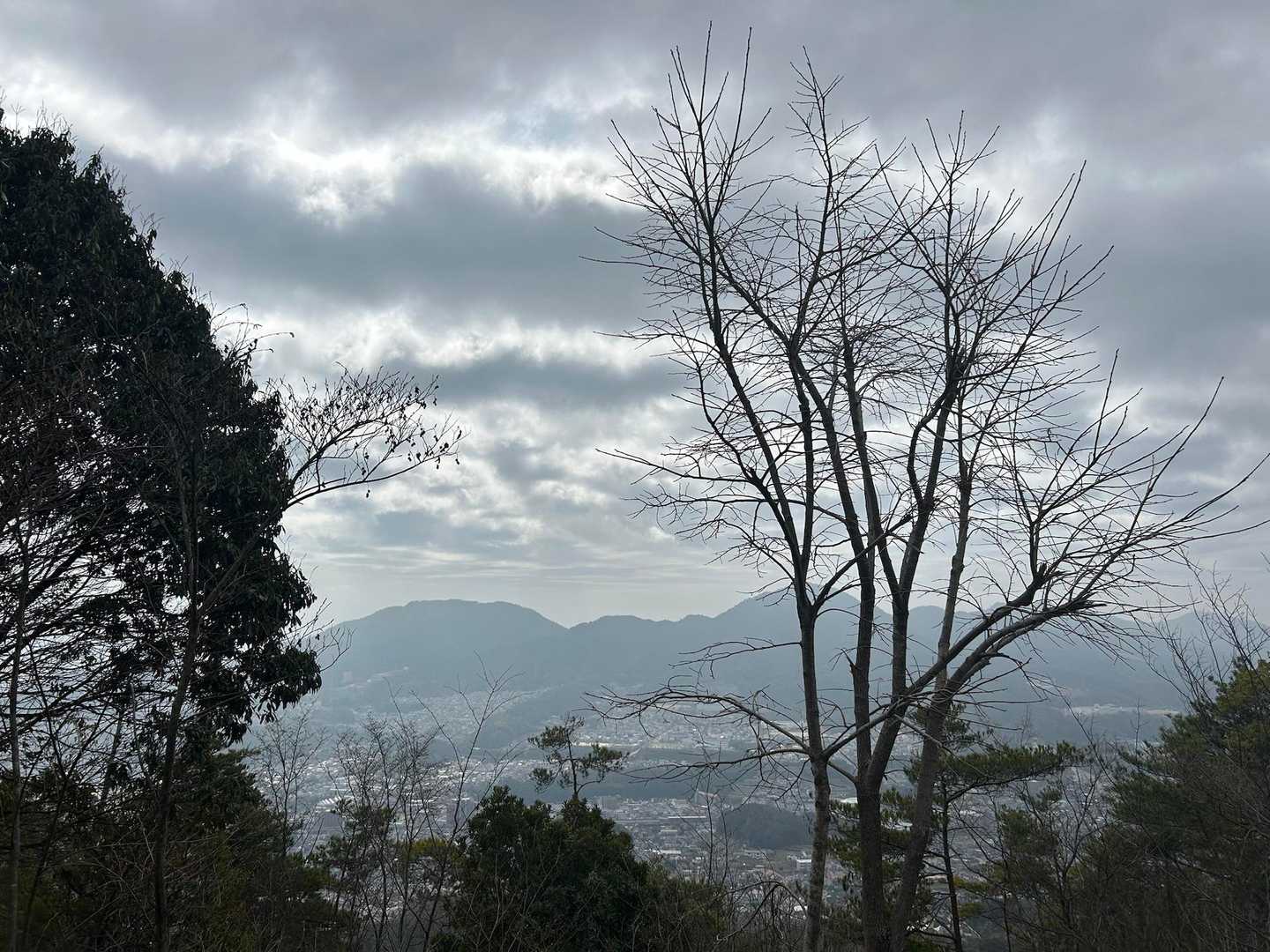 途中の景色
先日歩いた広島南アルプス　武田山、火山が見えます⛰️あそこをずーっと歩いたんだよね