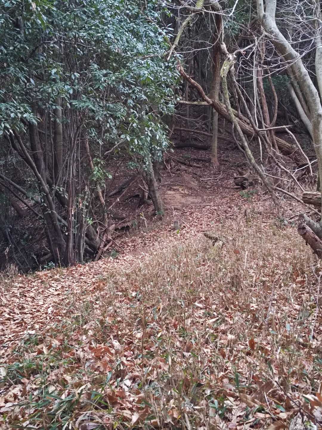 登ったり下りたり