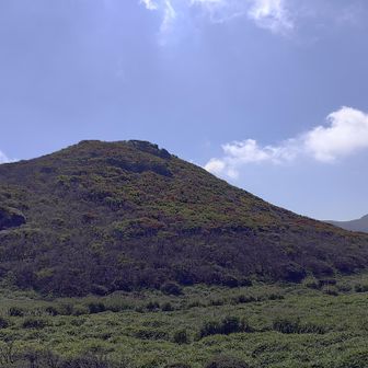 南峰までの道😆