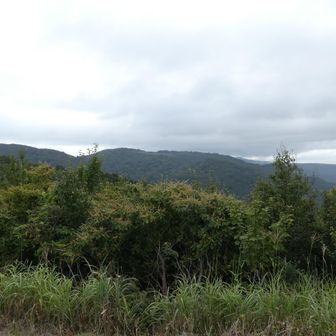 目的地はあっちの尾根の池川山の向こう側