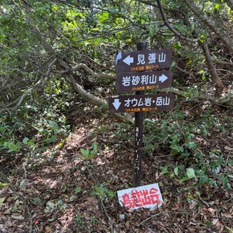 こうやって写真を撮ってるところは道がはっきりしてますが、たとえばうここから見張山と指されてる方向は、ちょっと見、道は見えないのです。枝や木々に覆われた向こうに道らしいものを見つけながら進みます。