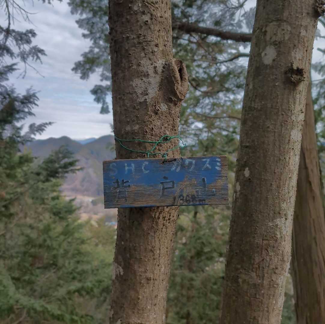 背戸山山頂