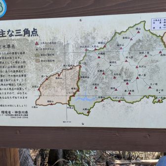 昼食を終えてかんほを見ていたら男性が一人きた。