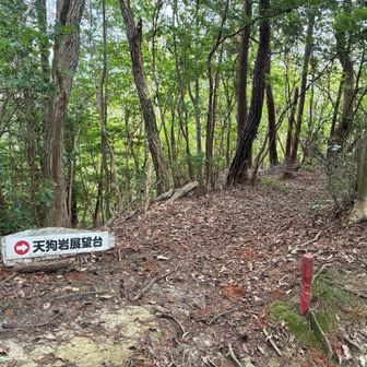 気になる👀次回、展望台行って見たいと思います。