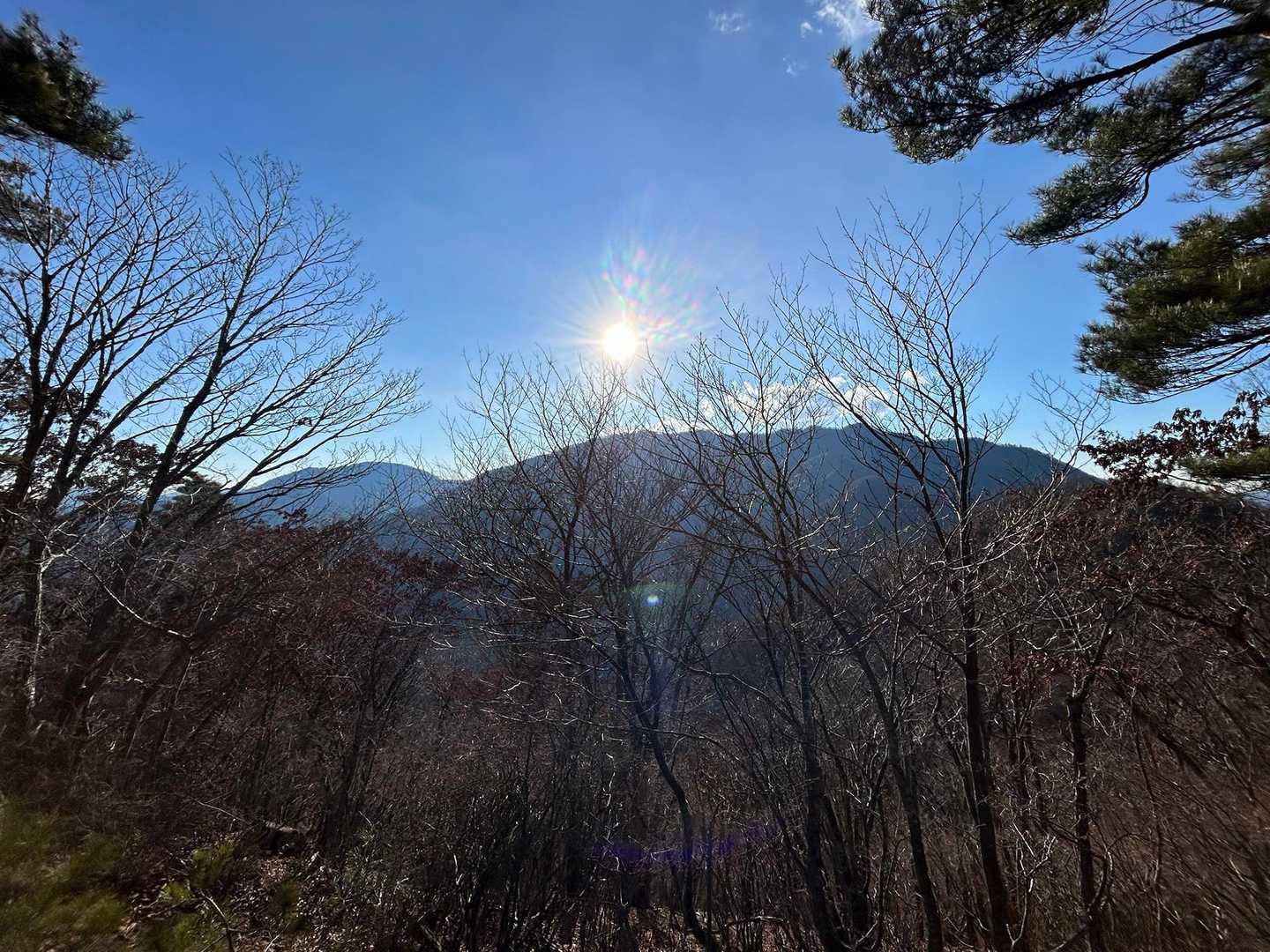 杓子と御正体山方面も開けてます。少しだけ山見てとろけます😁今日はメロンパン補給忘れてしまった、、寒くてすぐ行動再開。
