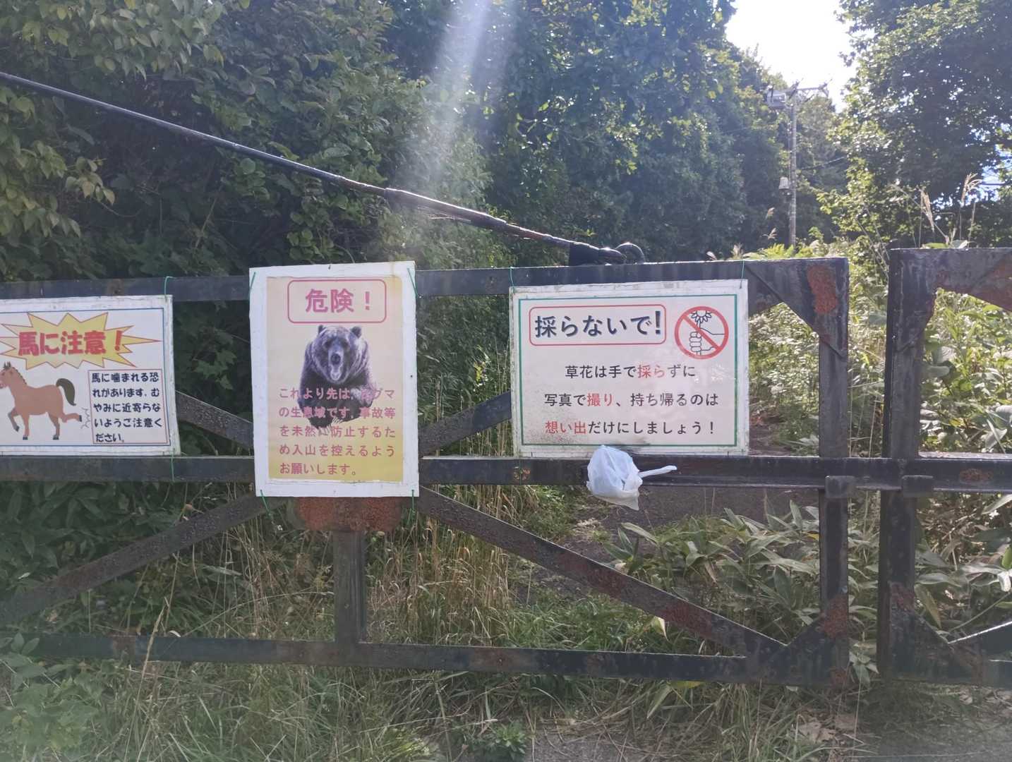 ここも熊出るん