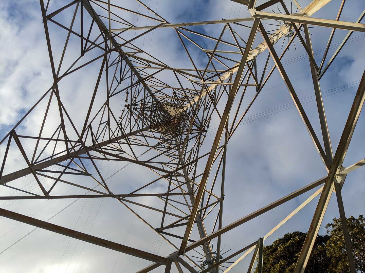 鶴羽山 往復コースの写真