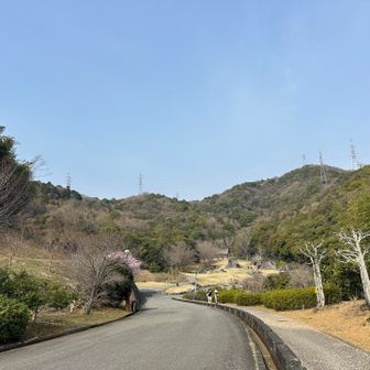 最初のチェックポイント✅を撮るのを忘れた😅