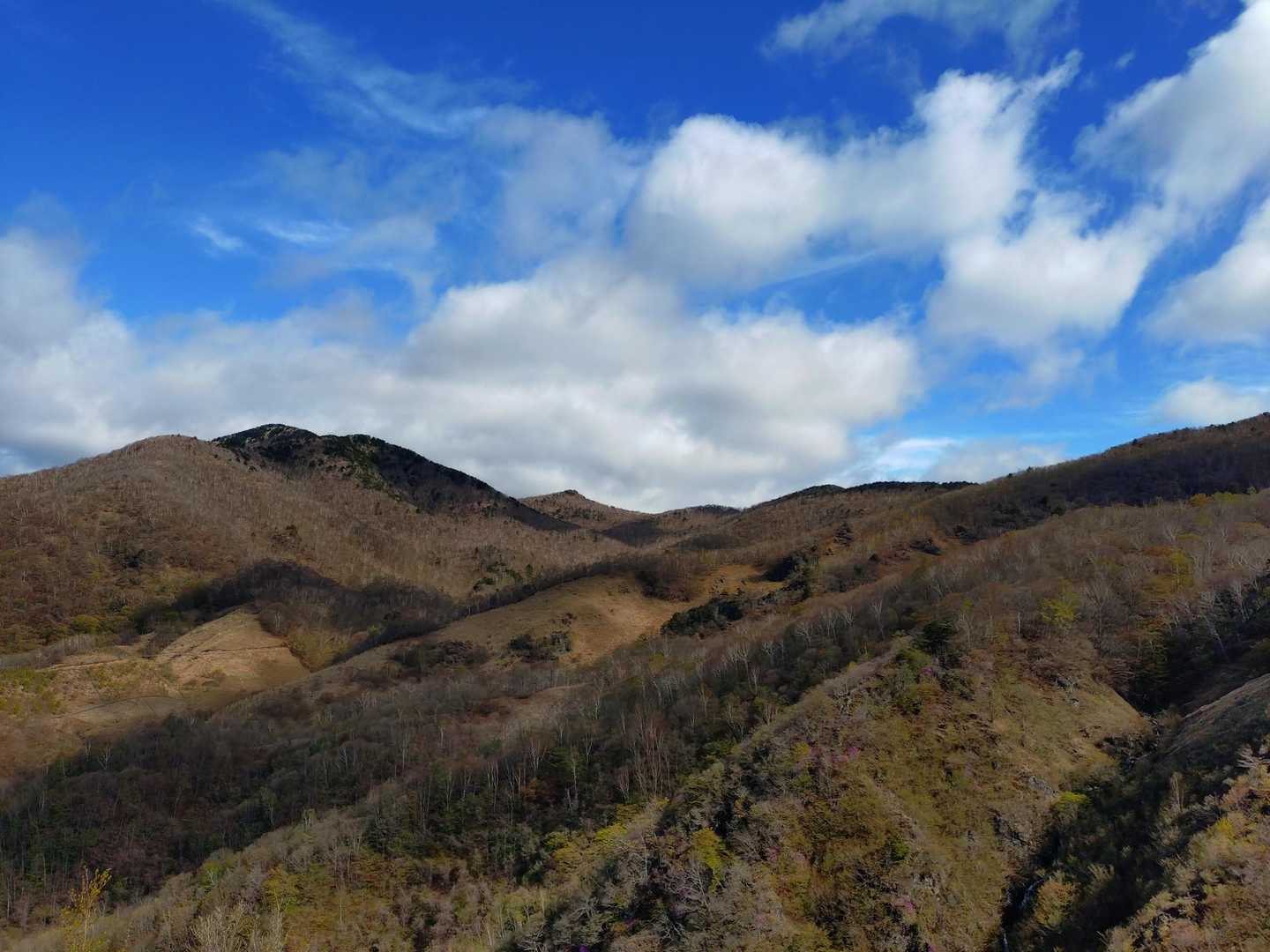 袈裟丸山を目指す✨️