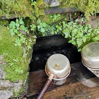 若返るという神の水、美味しかった