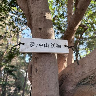 名前がかっこいい
すごく遠くのお山に来た気分になります😀