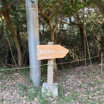 摩利支天
行ってみる？YAMAP確認しても何処だかわからなかったのでやめて、駐車場に戻りました