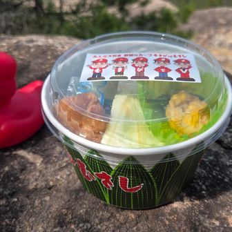 ゆりさーん🎵
アヒルちゃん、連れてきちゃった🙏