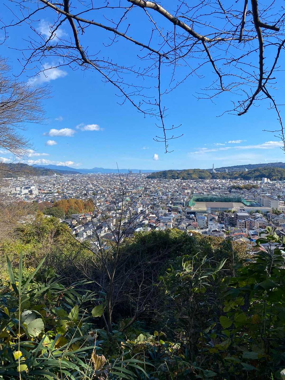 浅間山 往復コースの写真