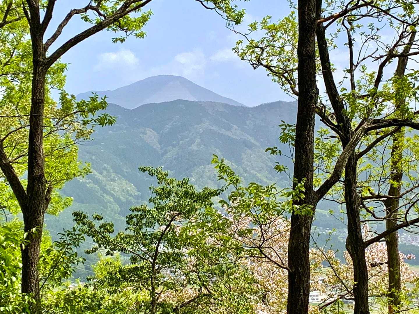 黄砂に烟る伊吹山山頂が見えます。