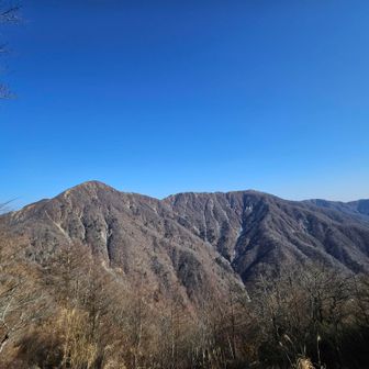 臼ヶ岳へのアプローチからは蛭ヶ岳から丹沢山へ続く稜線を見渡せる♪