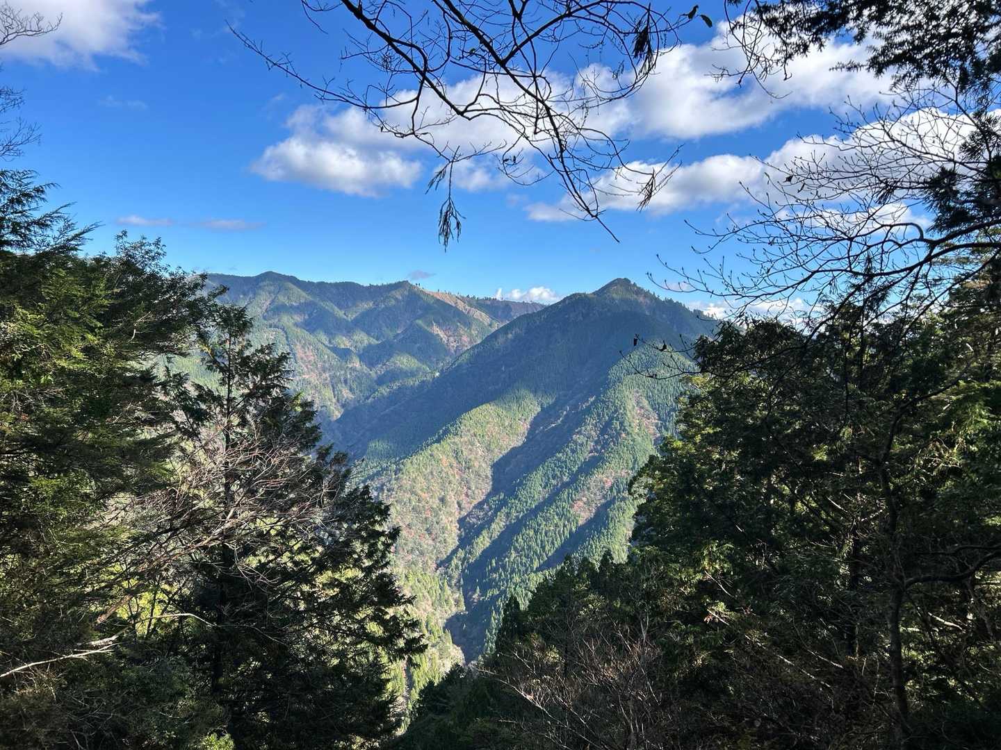千本山 往復コースの写真