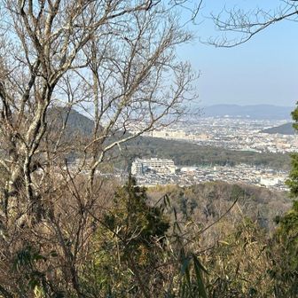 角度を変えるとギリ耳成山も見えます😅