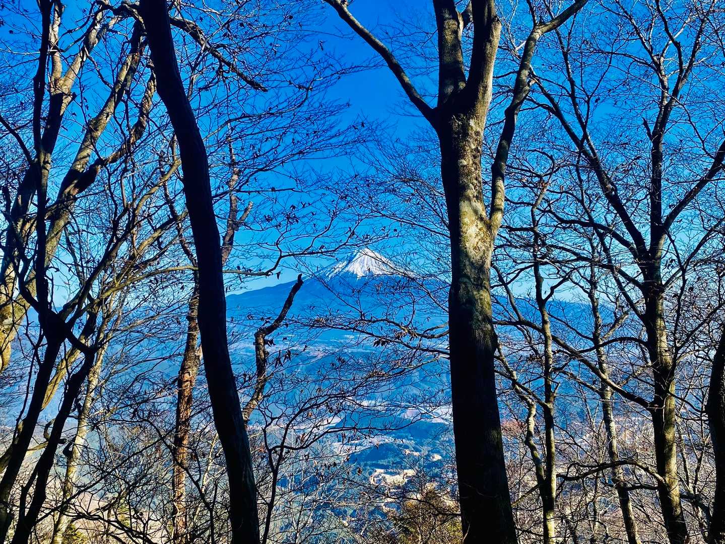 木々の閒から富士山🗻✨✨
山頂まであと少し🚶