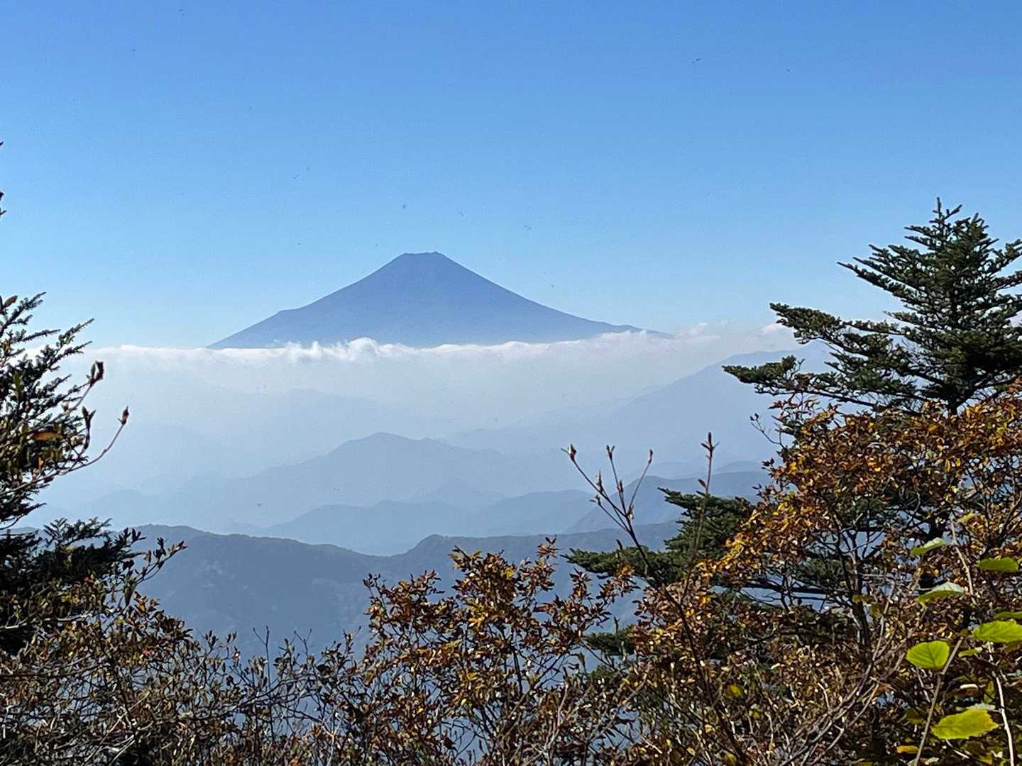 独標-入山峠-旧入山峠-鳥切場-栗ノ木沢ノ頭-醍醐丸-連行 縦走コースの写真