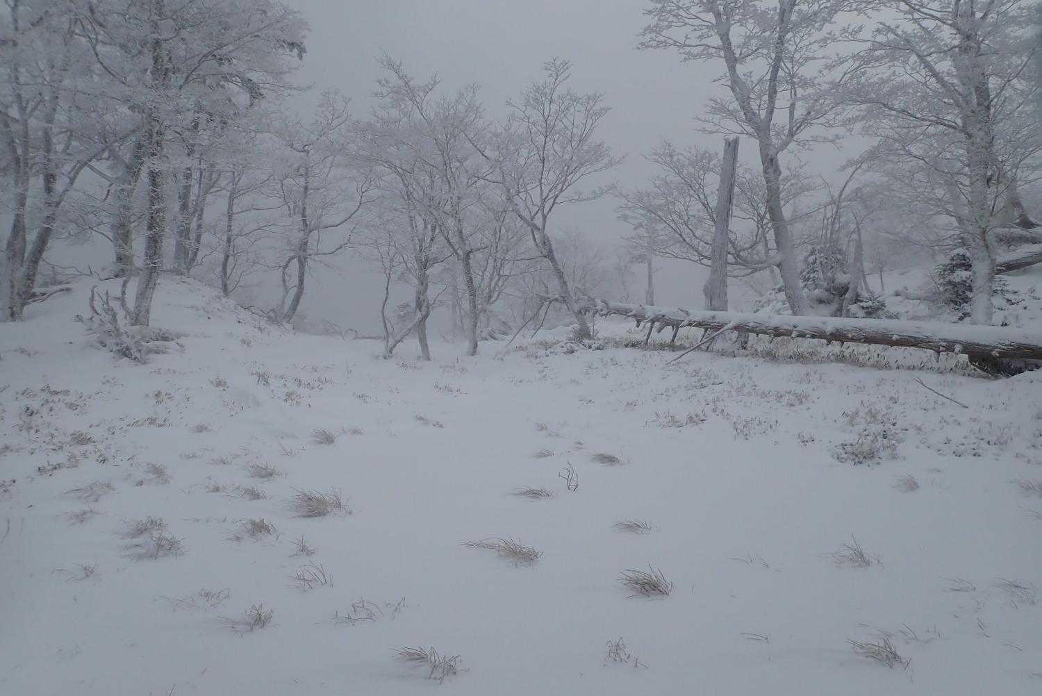 千丈平の水溜りは雪で隠れてます。
