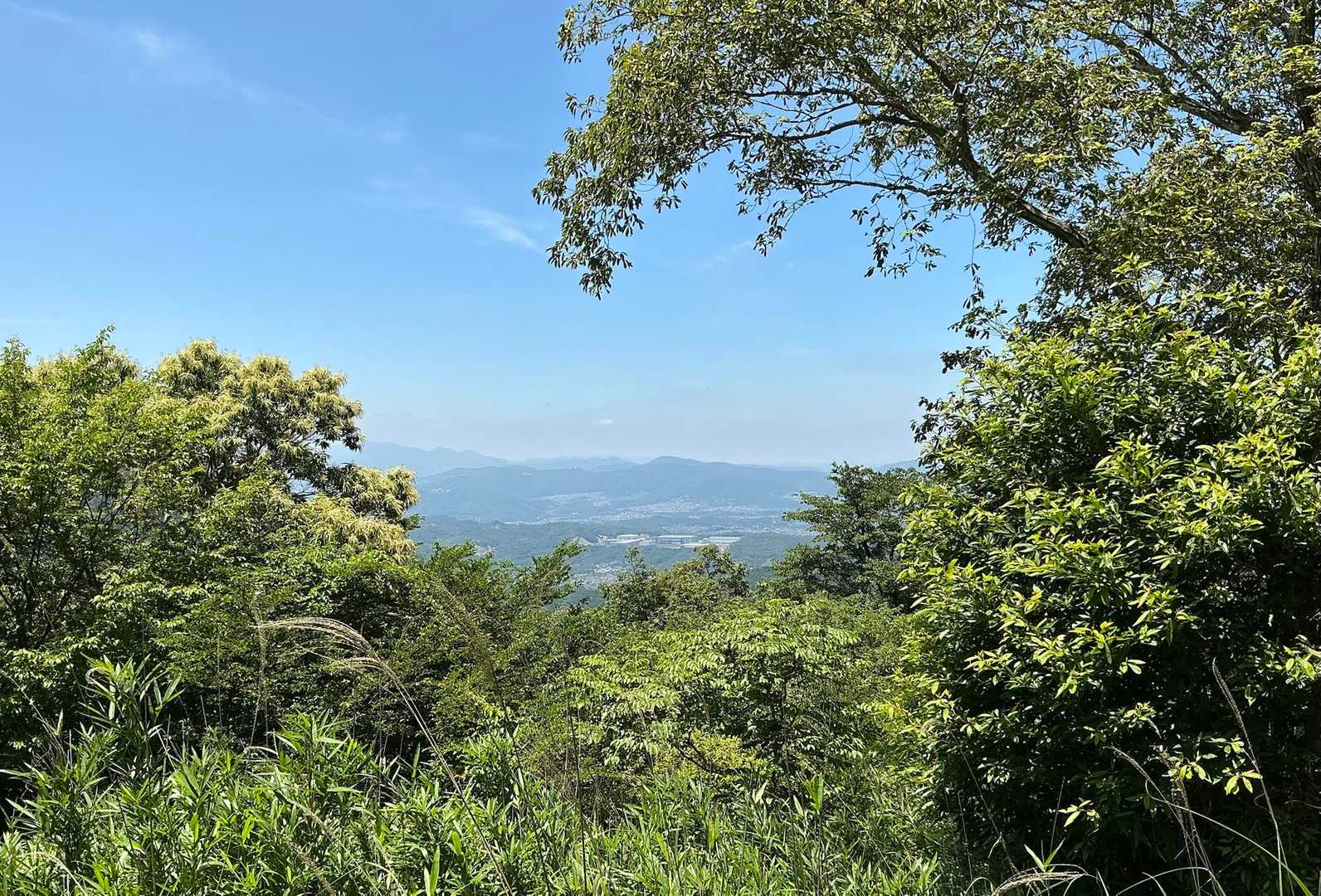 戸知山からの景色