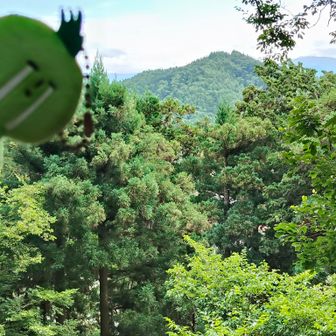 やっぱり見えるのは錦山だけ