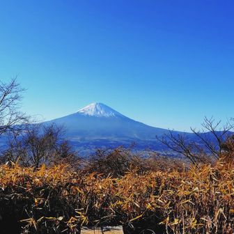 富士山をみながらコーヒーブレイク☕
金時山から戻ってこられたハイカーさんと少しお話して、足柄峠に戻りました